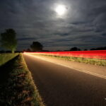 Au clair de lune