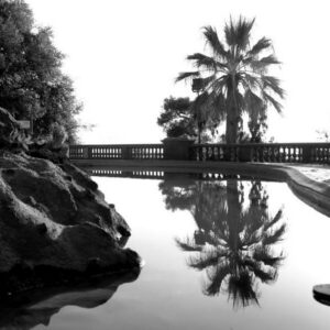 Miroir d'eau