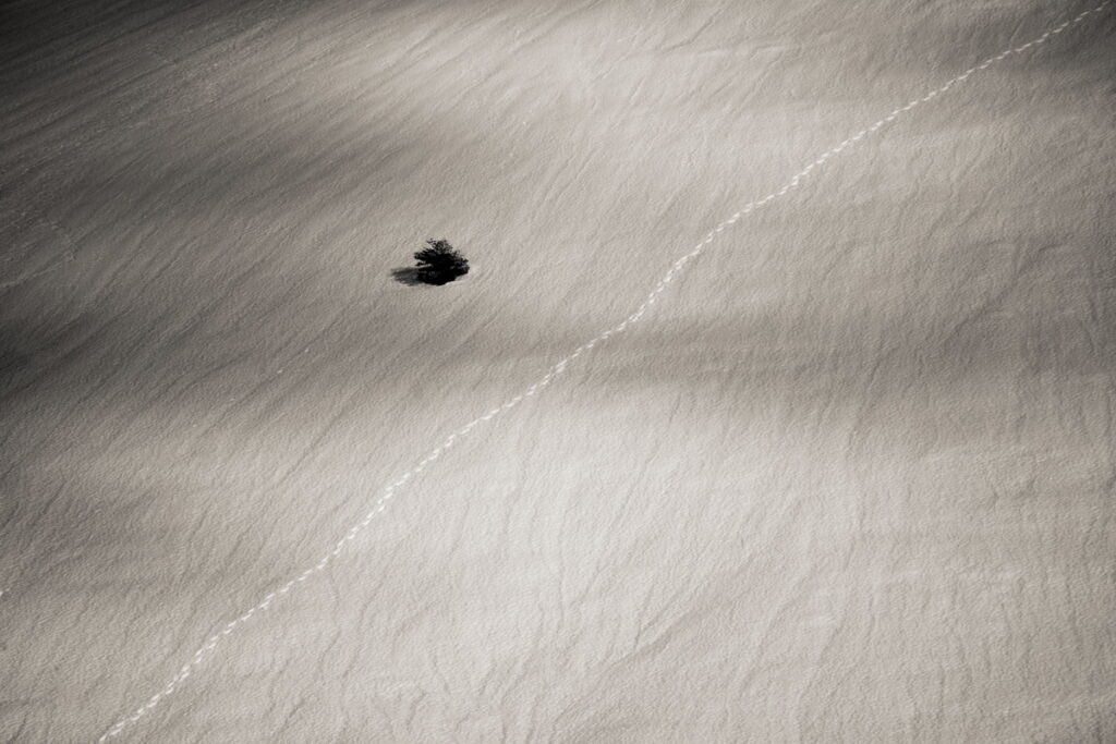 Traces