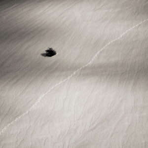 Traces