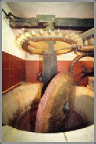 moulin huile olive provence