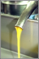 photo fabrication huile olive