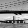 Manhattan-bridge-New-York
